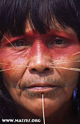 are there cannibal tribes in the amazon|Inside the cannibal Matses tribe in the Amazon who used eat。